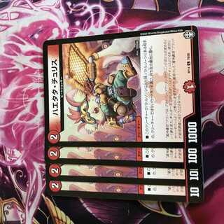 ハエタタ・チュリス　4枚