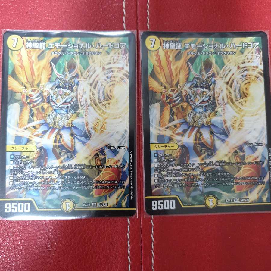 神聖龍 エモーショナル・ハードコア 2枚