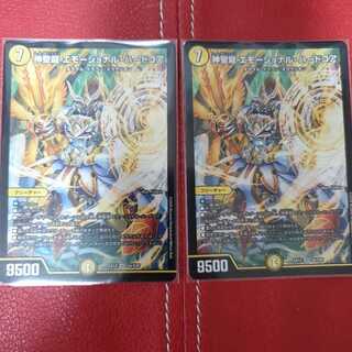 神聖龍 エモーショナル・ハードコア 2枚