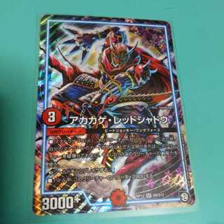 最安値！アカカゲ・レッドシャドウ