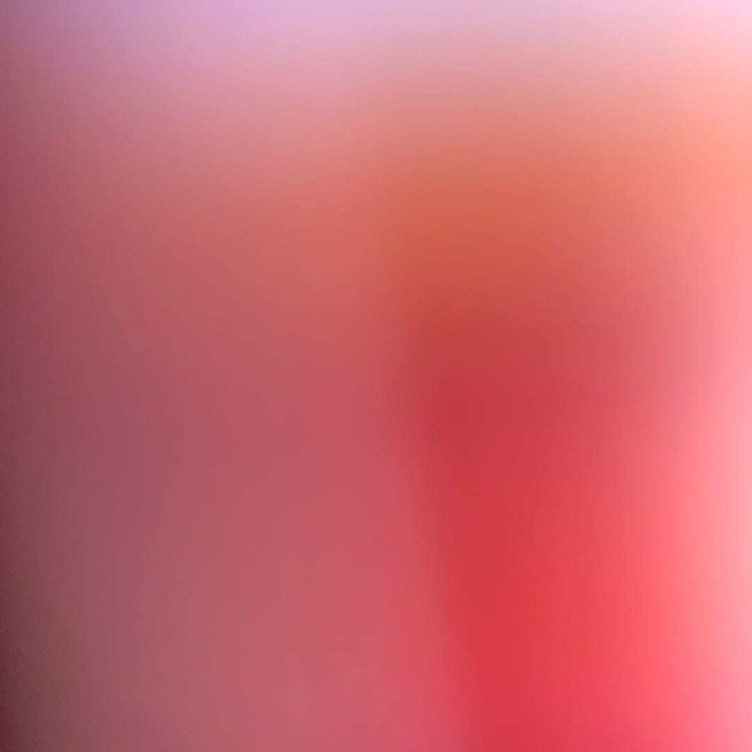 ドラゴンメイドのお片付け レア 専用