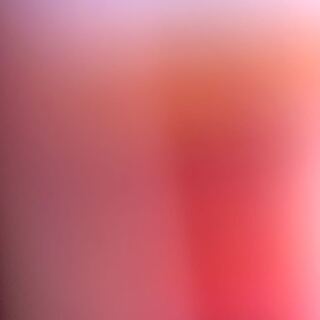 ドラゴンメイドのお片付け レア　専用