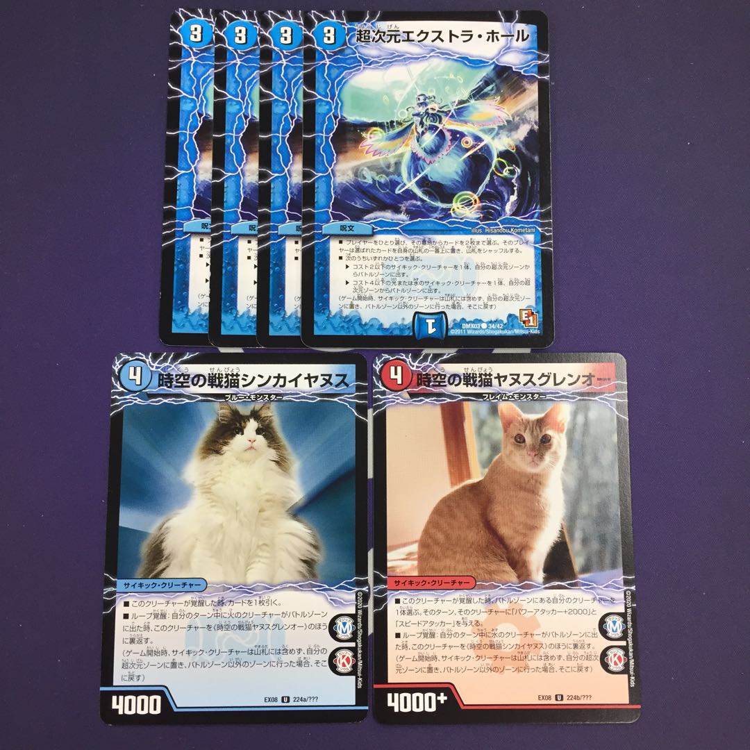超次元エクストラ・ホール 時空の戦猫シンカイヤヌス｜時空の戦猫ヤヌスグレンオー