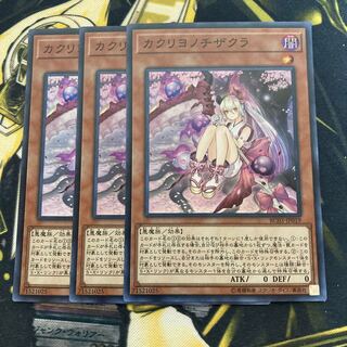 マドレース1548カクリヨノチザクラ スーパーレア