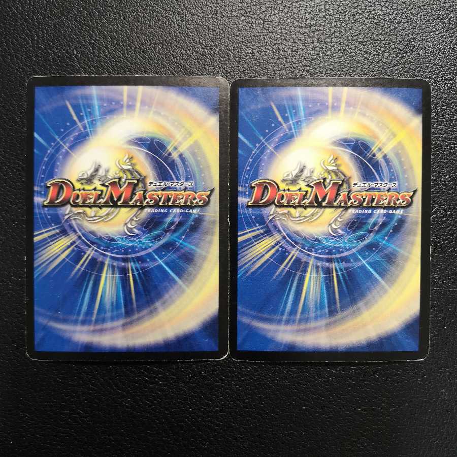 超神龍スカイ・ガルーダ2枚セット