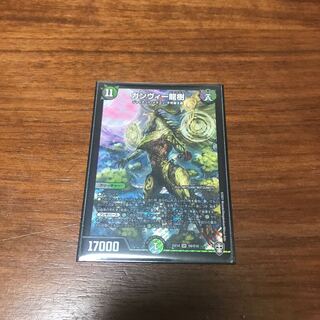 ガンヴィー龍樹