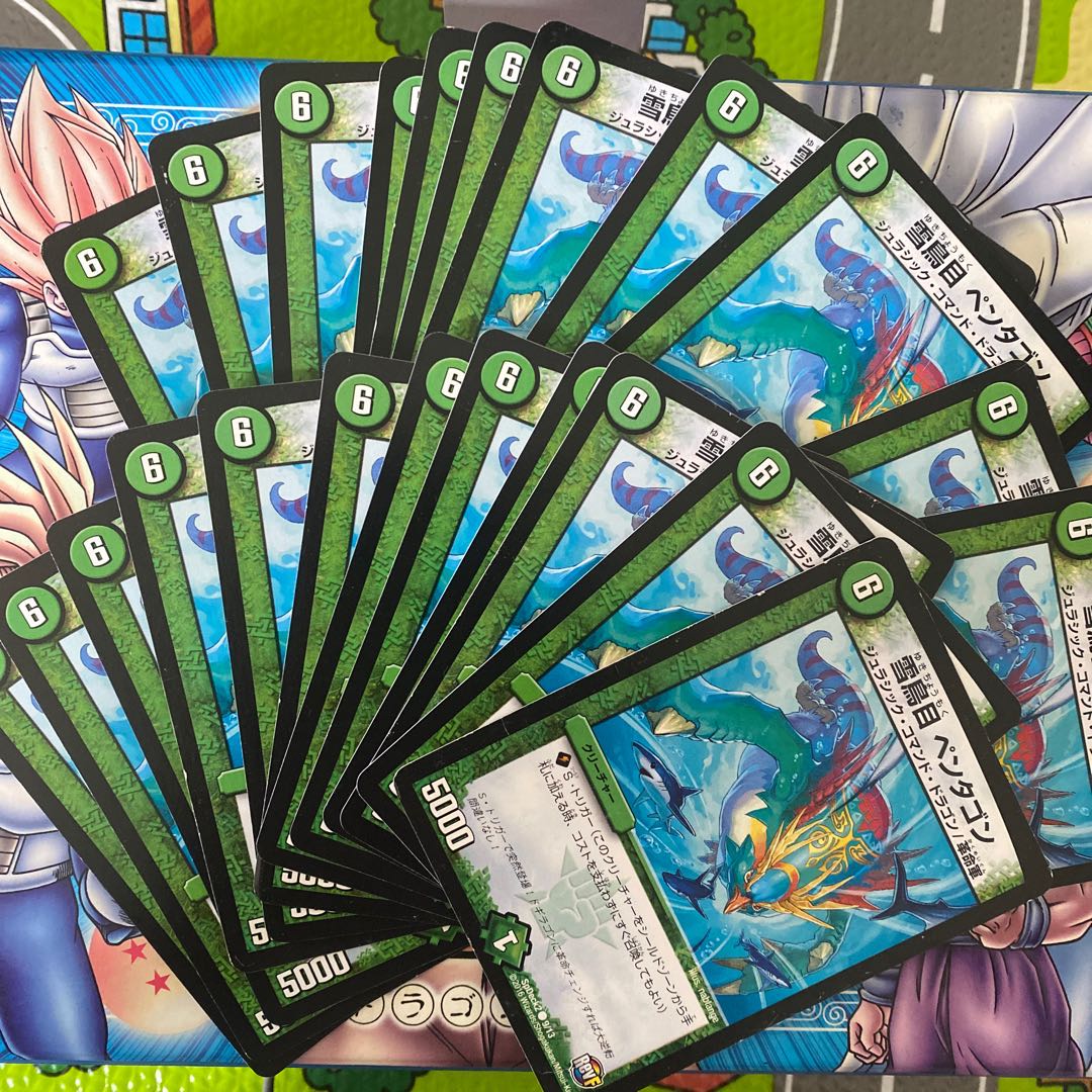 雪鳥目 ペンタゴン