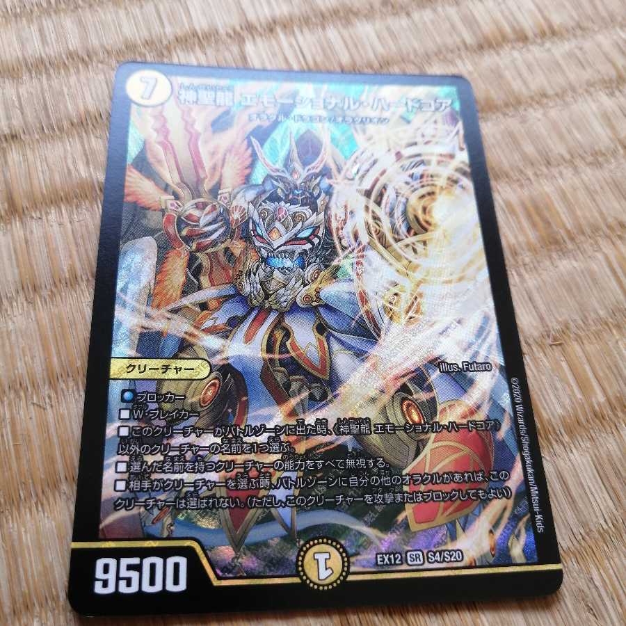 神聖龍 エモーショナル・ハードコア