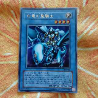 白竜の聖騎士