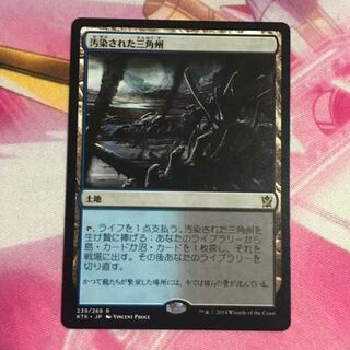 汚染された三角州