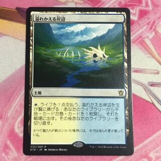 溢れかえる岸辺