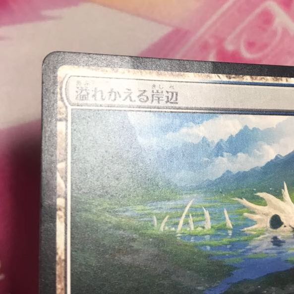 溢れかえる岸辺