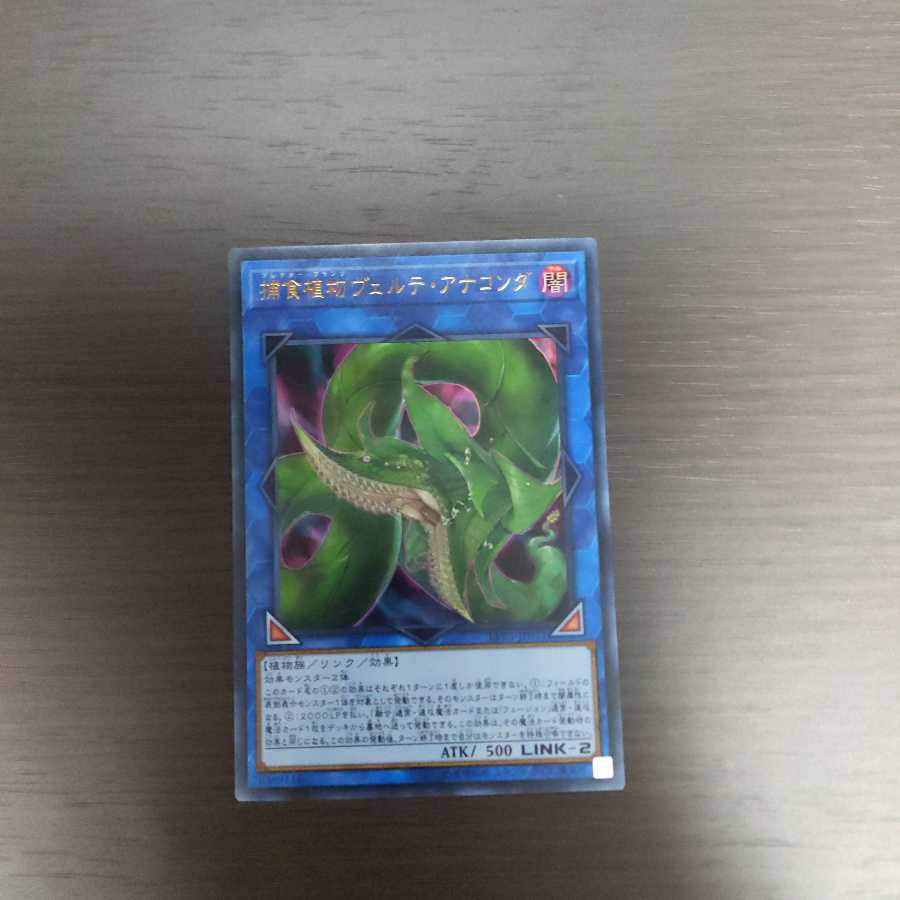 [アジア版]捕食植物ヴェルテ・アナコンダ 《ウルトラレア》