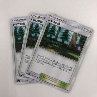 トキワの森（バラ売り可）