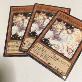 遊戯王 灰流うらら ノーマル 3枚