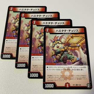 ハエタタ・チュリス 4枚