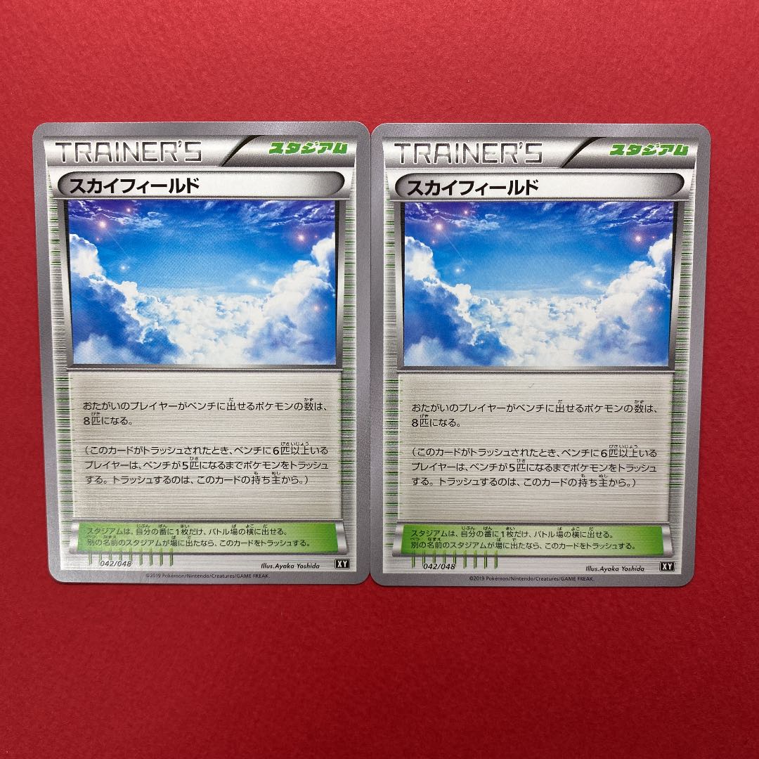 スカイフィールド 2枚