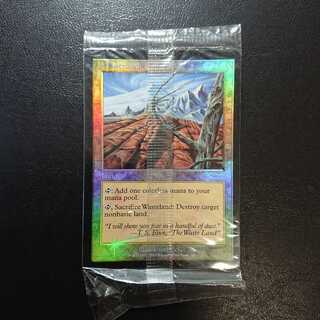 不毛の大地　foil　４枚セット　美品 不毛の大地 foil」の激安通販 | magi