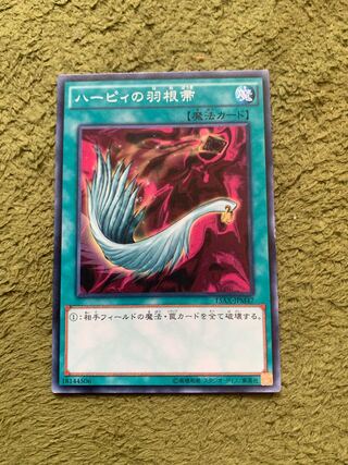 ハーピィの羽根帚 ノーマル