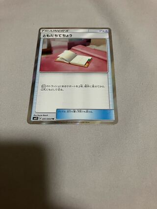 Pal Pad set of 3, 1 of which is TR