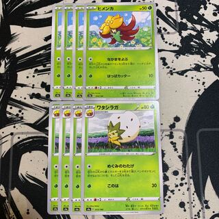 ヒメンカ　ワタシラガ