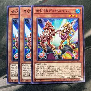 黄紡鮄デュオニギス ノーマル