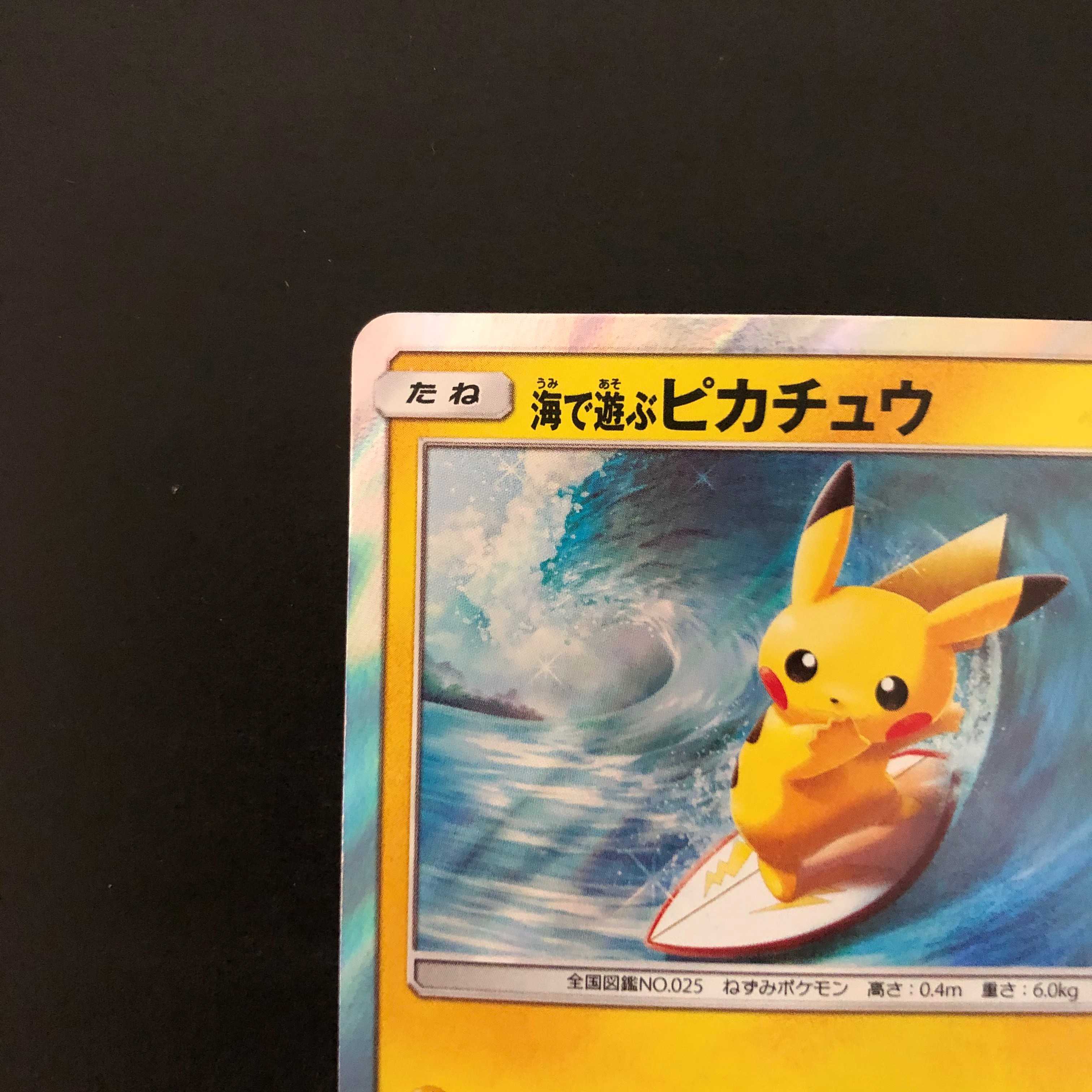 海で遊ぶピカチュウ