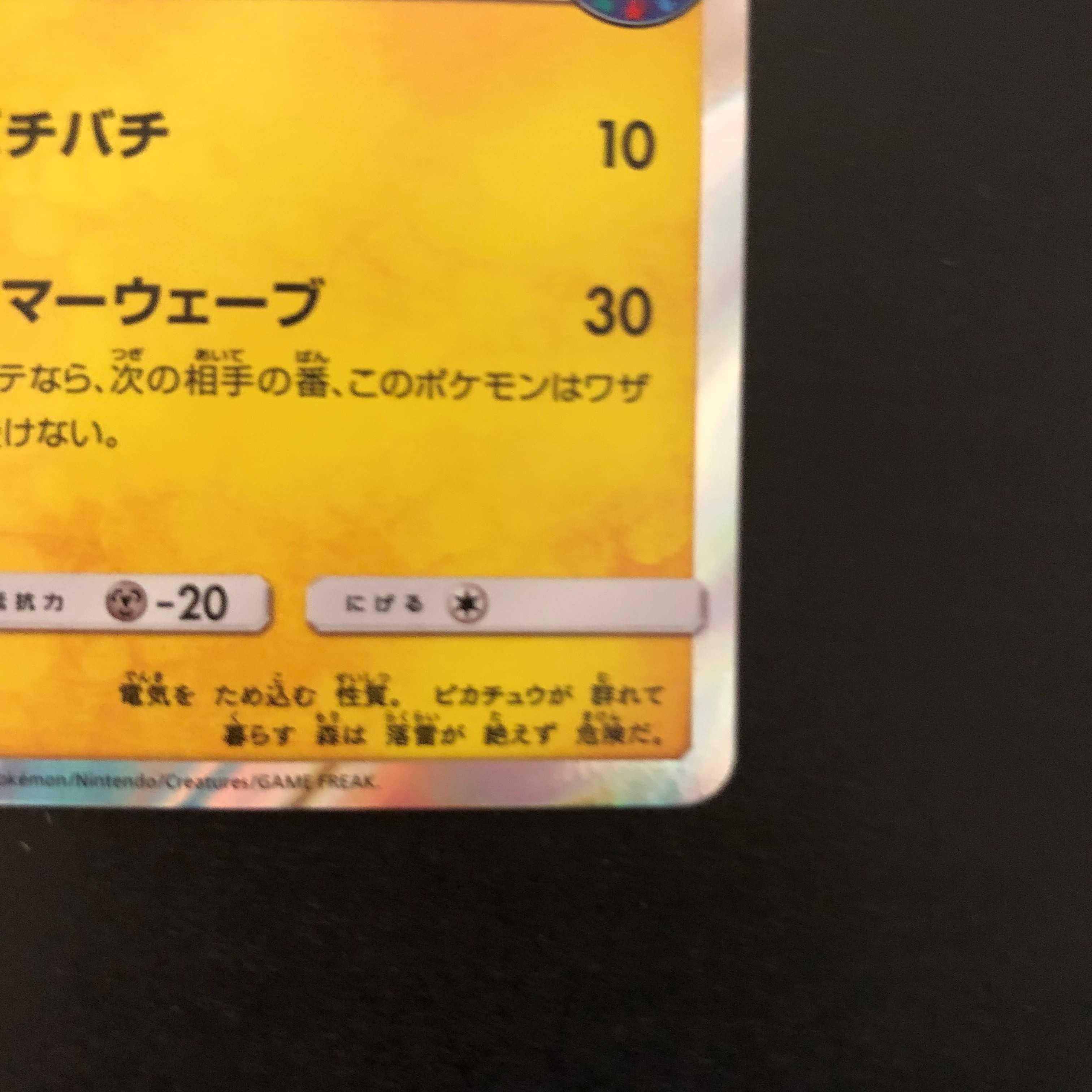 海で遊ぶピカチュウ