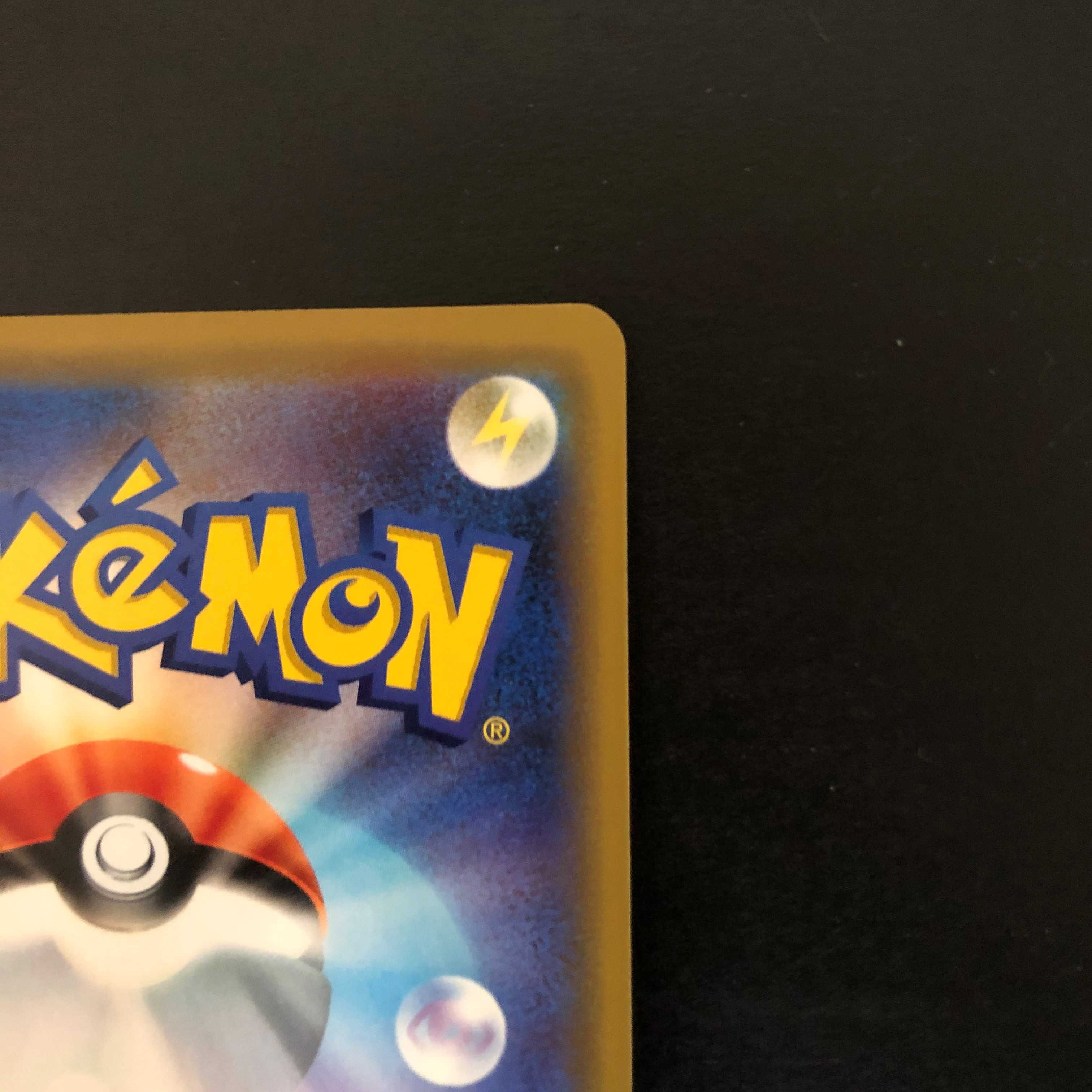 海で遊ぶピカチュウ