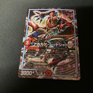 アカカゲ・レッドシャドウ