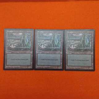 MTG2 Swamp APAC1 Set of 3