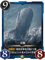 2枚セット　白鯨