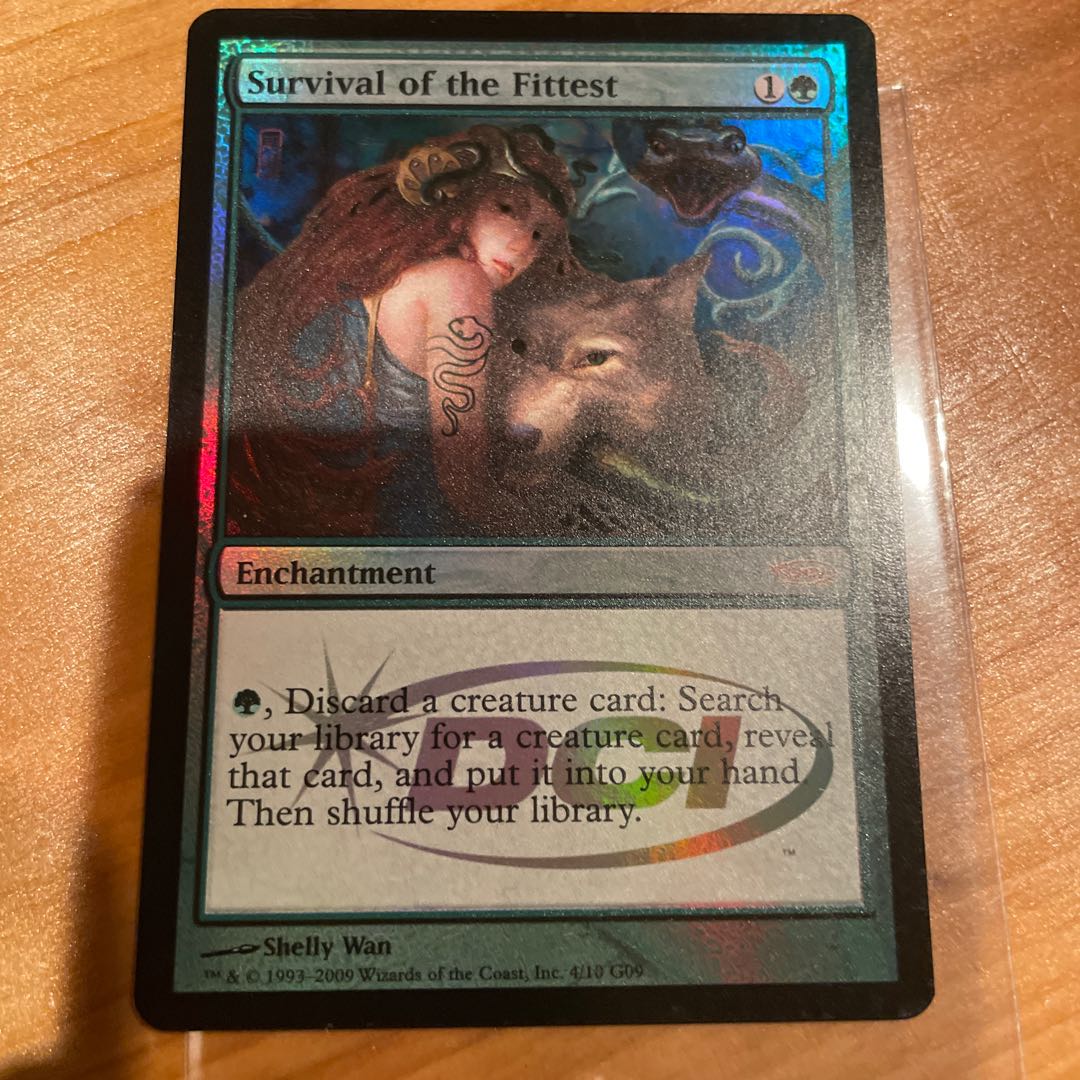 適者生存 ジャッジ褒賞（買取相場】-MtG-(日)適者生存