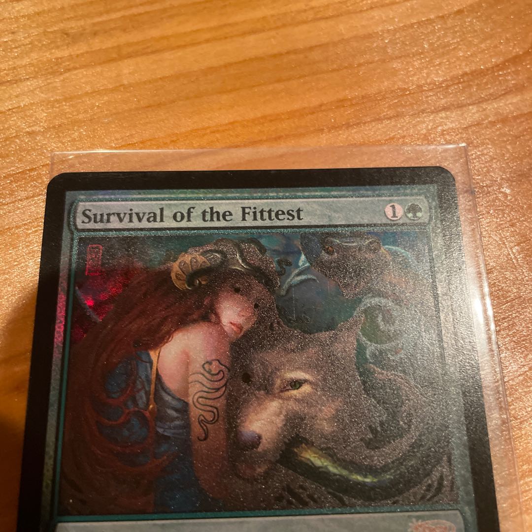 適者生存　ジャッジ褒賞