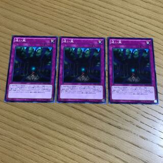 【bayatenn 様専用】迷い風 ノーマル 3枚セット