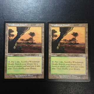 吹きさらしの荒野 英語版４枚セットオンスロート