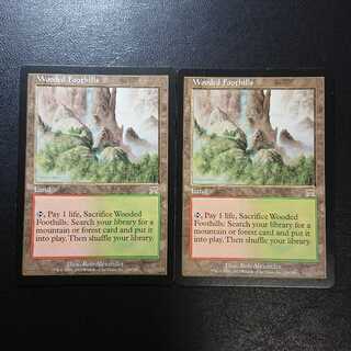 樹木茂る山麓 英語版２枚セット①