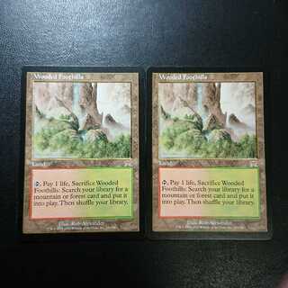 樹木茂る山麓 英語版２枚セット②