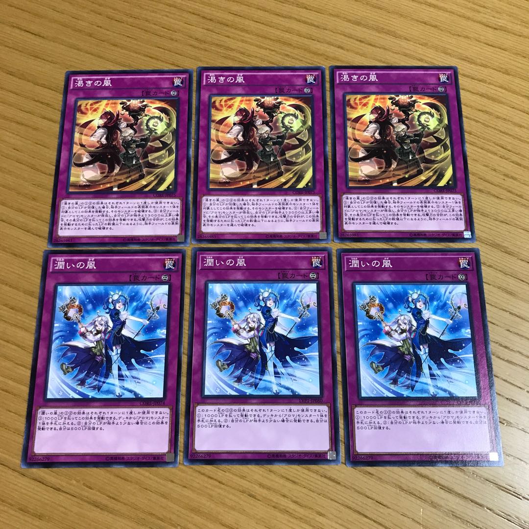 渇きの風　潤いの風　6枚セット