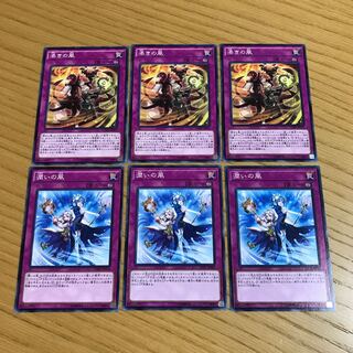 渇きの風　潤いの風　6枚セット