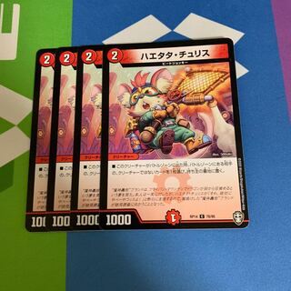 ハエタタ・チュリス