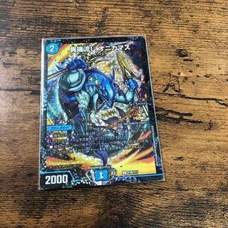 オニカマス(美品)