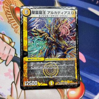 聖霊龍王 アルカディアスD