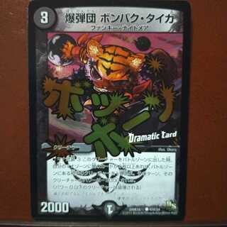 Fst442 Set Discount Bombshells Bombak Taiga