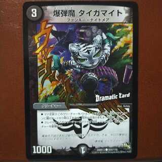 Fst443 set discount Bomber Tigermite