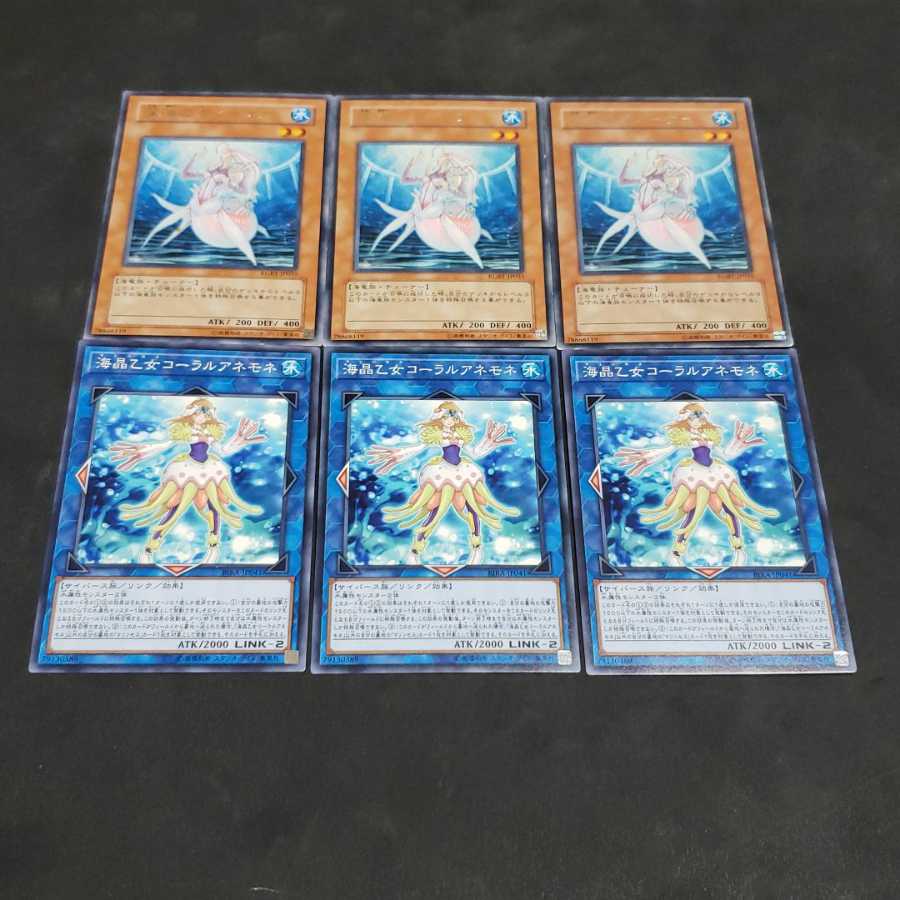 海晶乙女コーラルアネモネ セット 遊戯王 虎ふぐ