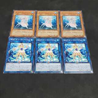 海晶乙女コーラルアネモネ セット 遊戯王 虎ふぐ