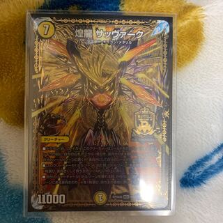 煌龍 サッヴァーク　その他