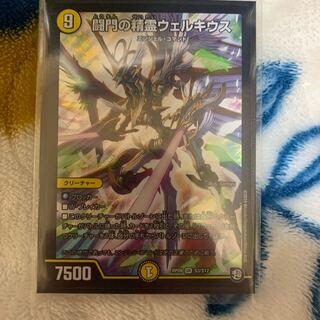 はるかせんしさま専用