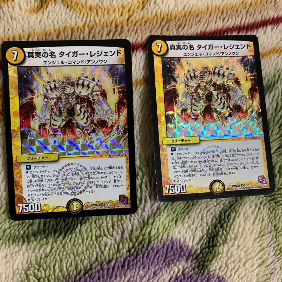 タイガーレジェンド